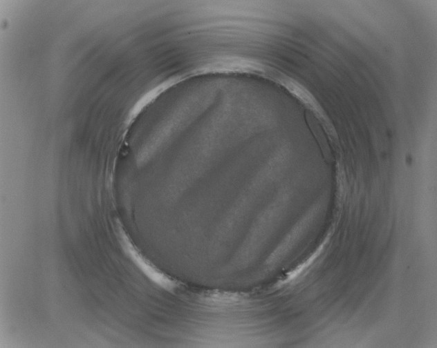 X0000083990842200703021937