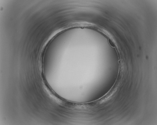 X0000083990843200703021937