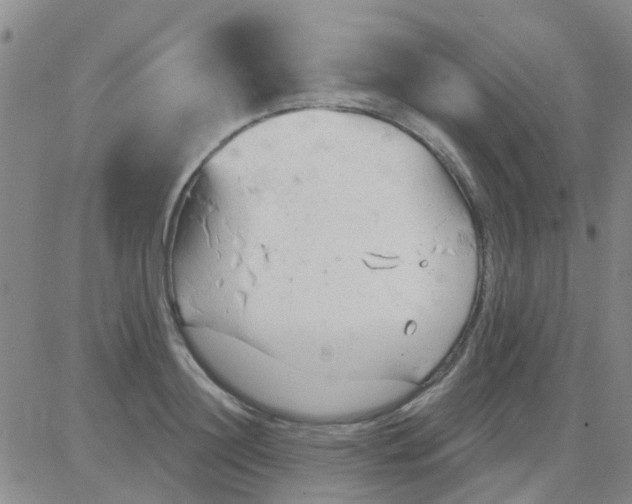 X0000083990844200703021937