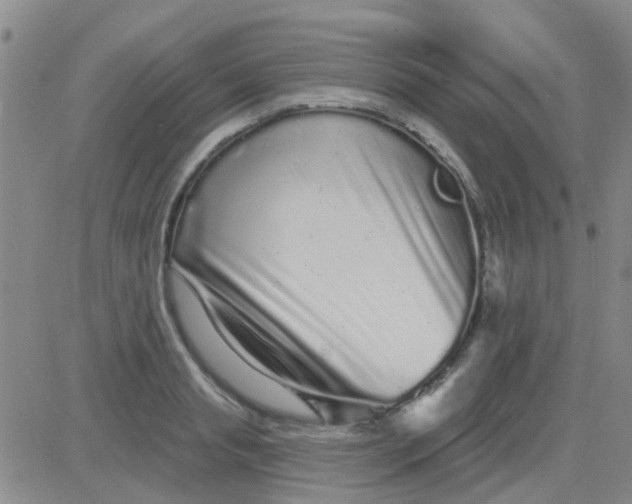 X0000083990845200703021937