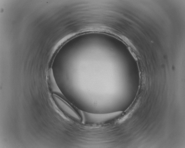 X0000083990846200703021937