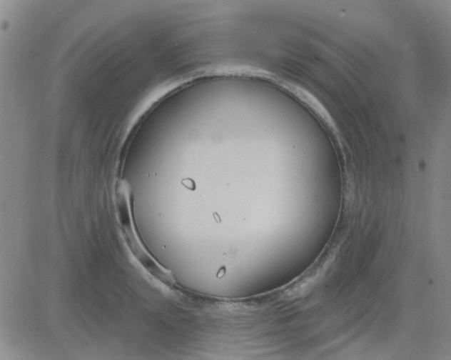 X0000083990847200703021937