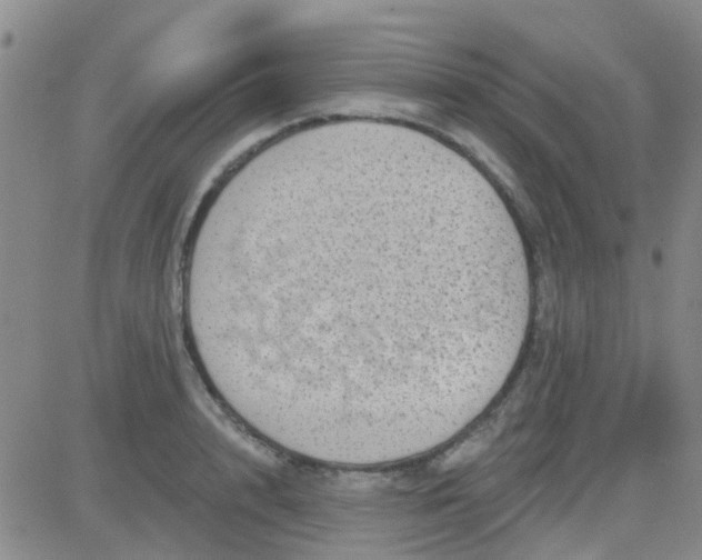 X0000083990848200703021937