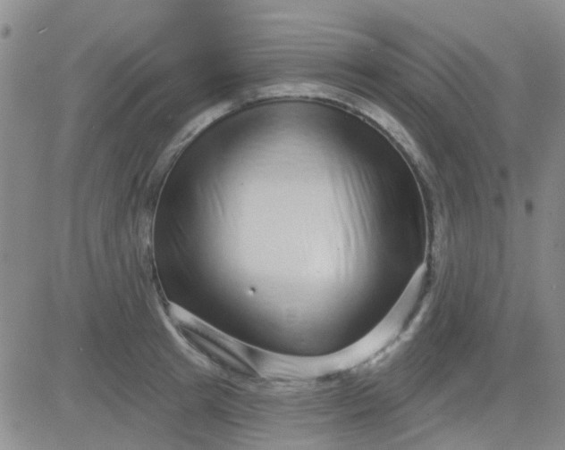 X0000083990849200703021937