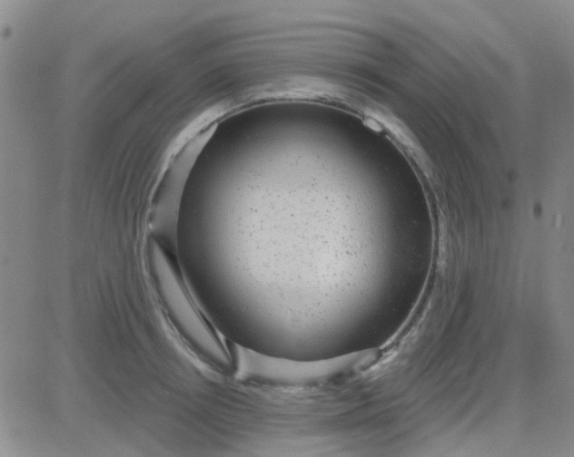 X0000083990850200703021937