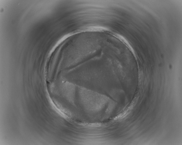 X0000083990851200703021937