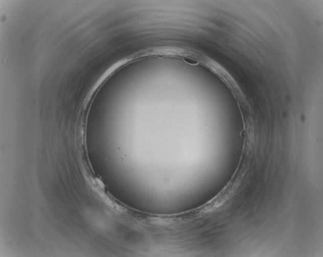 X0000083990852200703021938