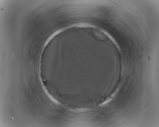 X0000083990853200703021938