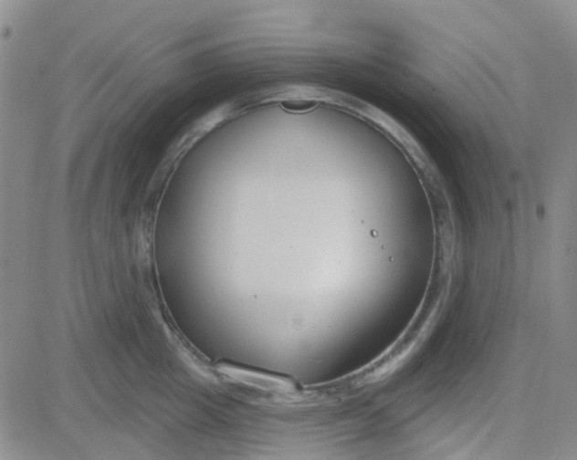 X0000083990857200703021938