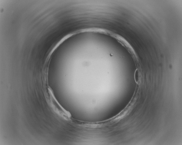 X0000083990860200703021938