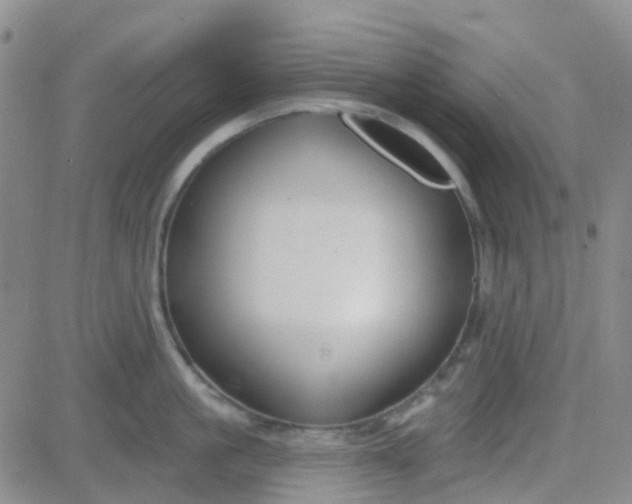 X0000083990861200703021938