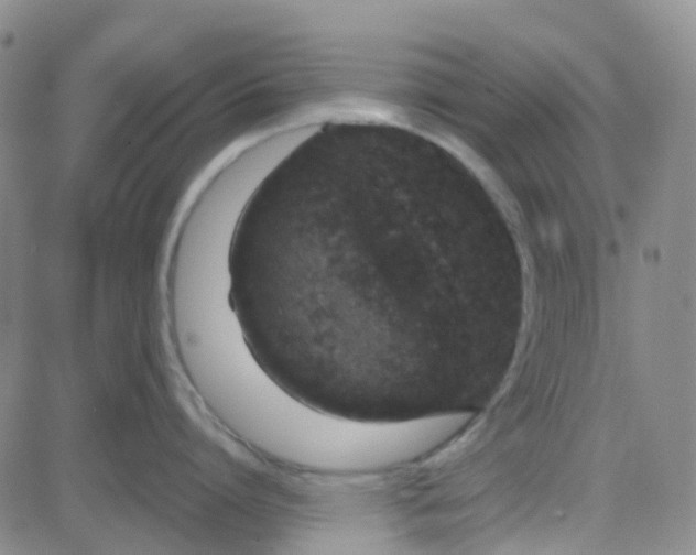 X0000083990864200703021938