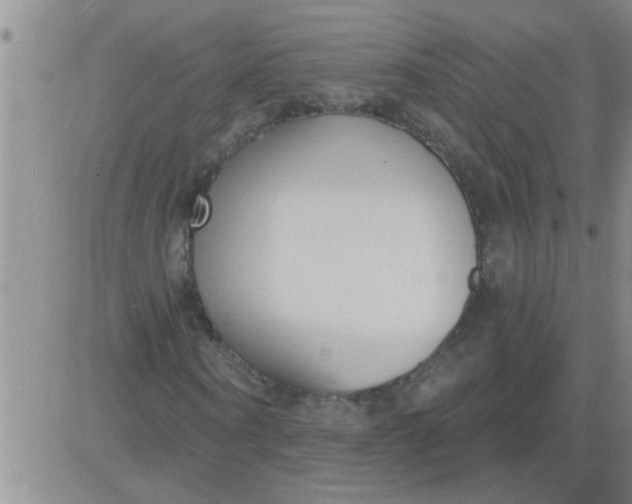 X0000083990866200703021937