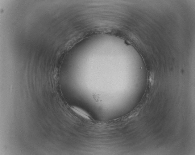 X0000083990867200703021937