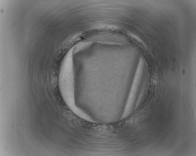 X0000083990869200703021937