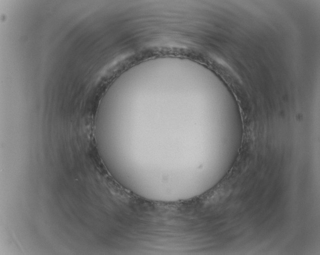 X0000083990870200703021937