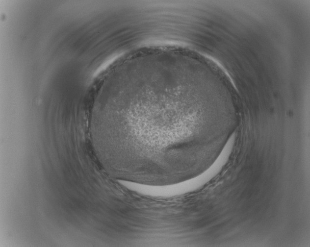 X0000083990871200703021937