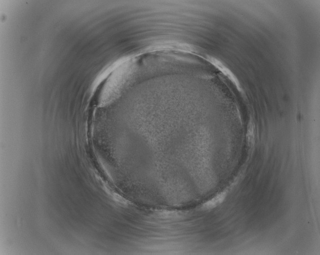 X0000083990877200703021937