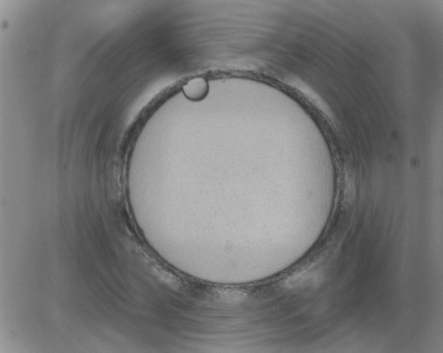 X0000083990878200703021937