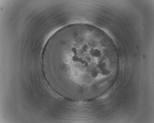 X0000083990879200703021937