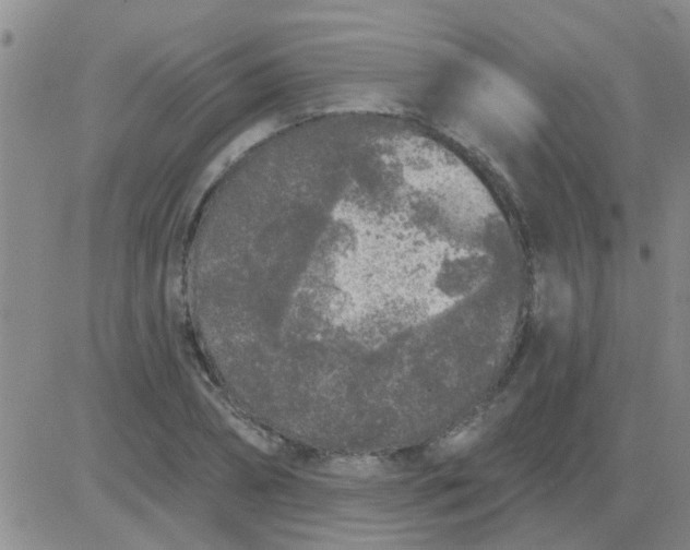 X0000083990882200703021937