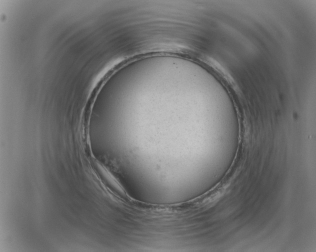 X0000083990883200703021937