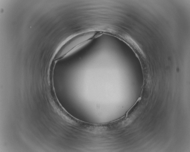 X0000083990884200703021937