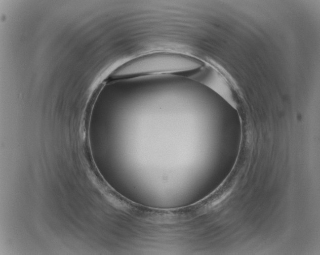 X0000083990885200703021937