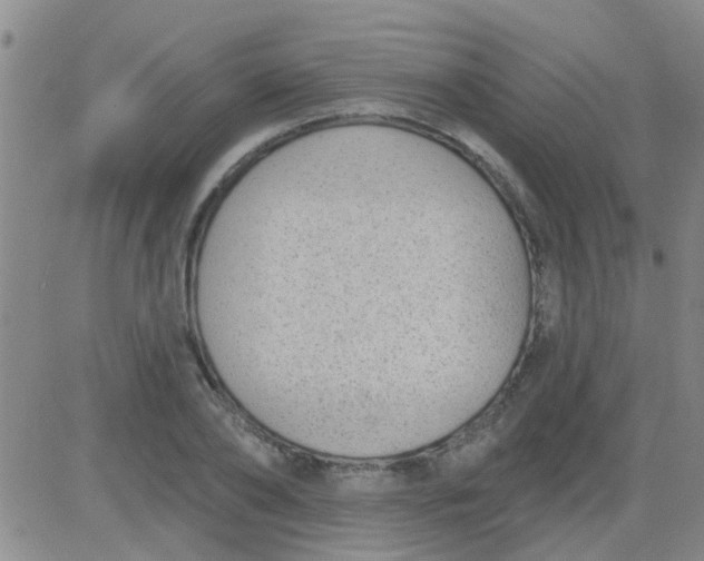 X0000083990886200703021937