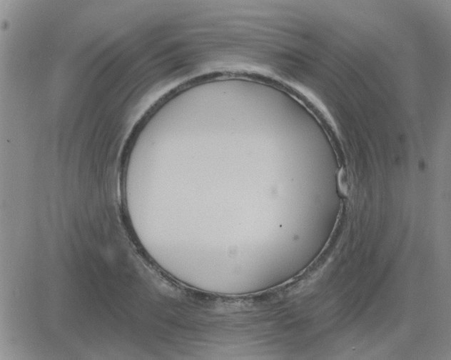 X0000083990887200703021937