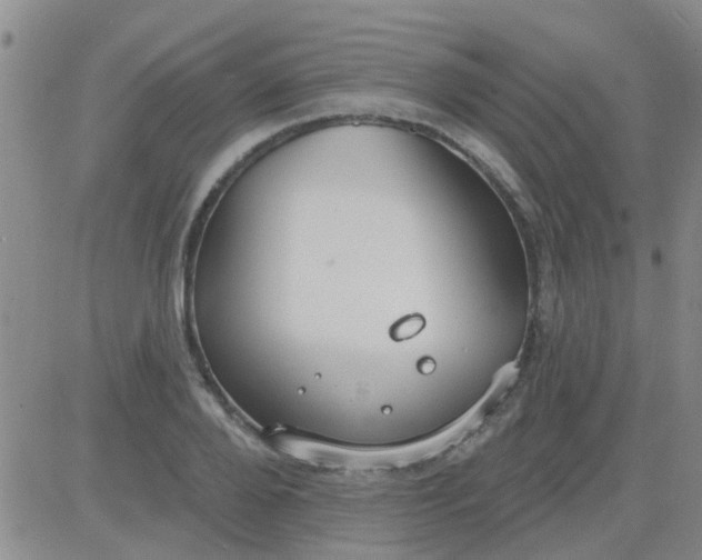 X0000083990888200703021937