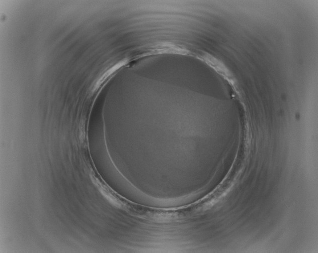 X0000083990889200703021937