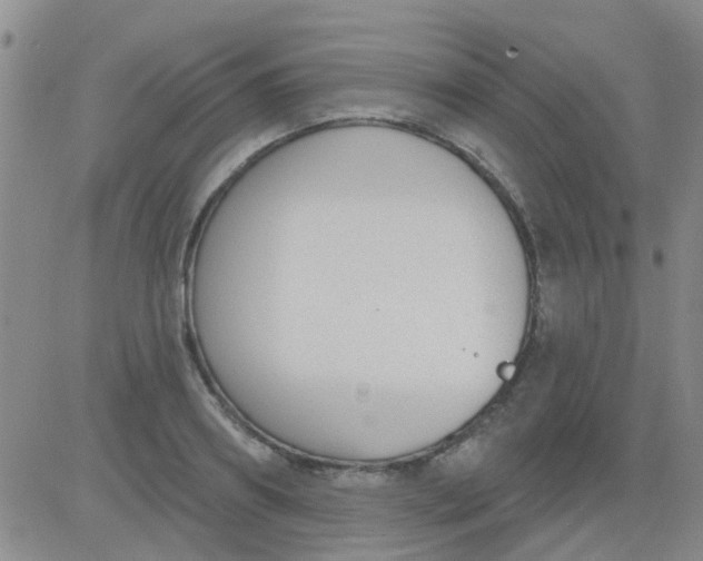 X0000083990890200703021936