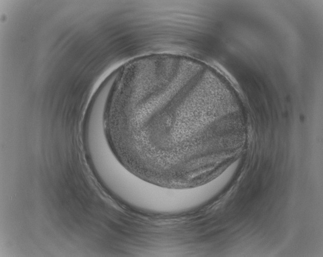 X0000083990891200703021936