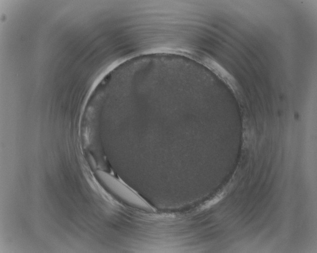 X0000083990892200703021936