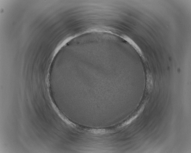 X0000083990893200703021936