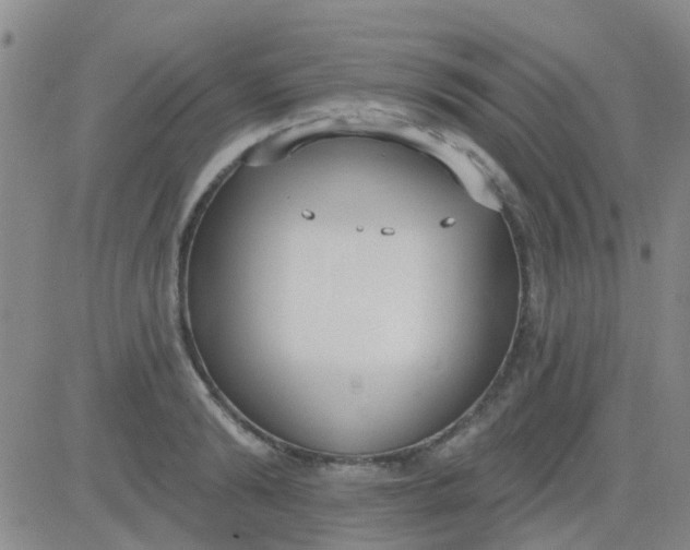 X0000083990894200703021936