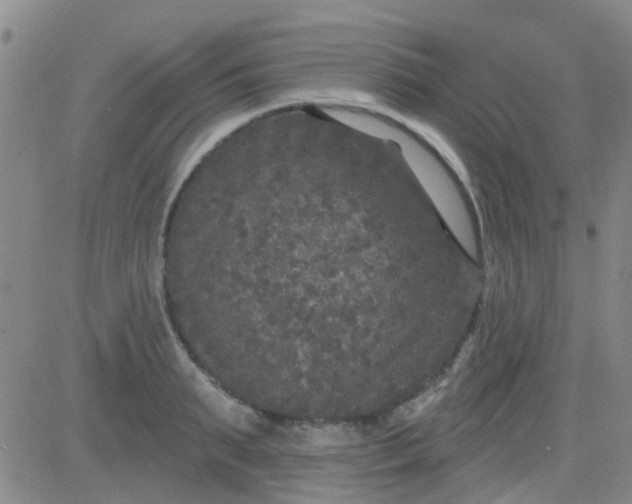 X0000083990895200703021936