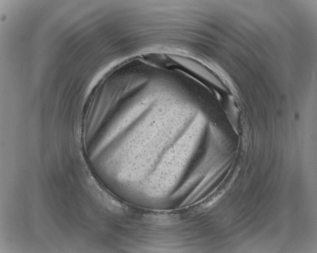 X0000083990896200703021936