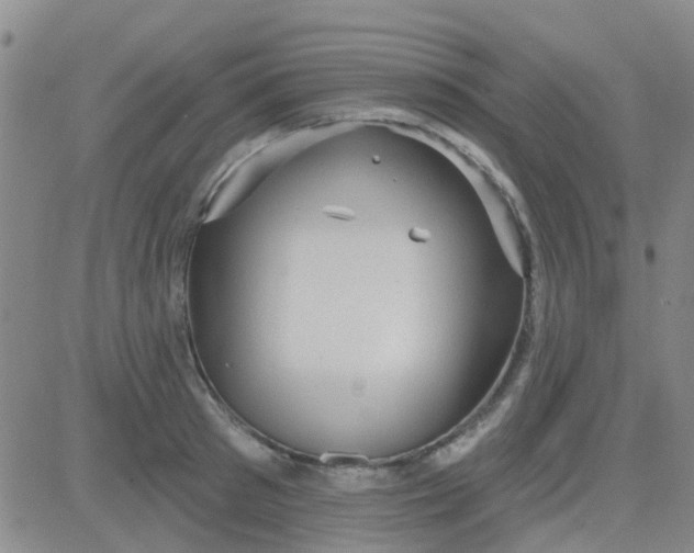 X0000083990897200703021936