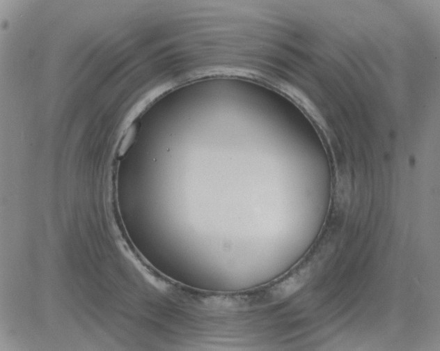 X0000083990898200703021936