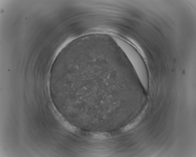 X0000083990899200703021936