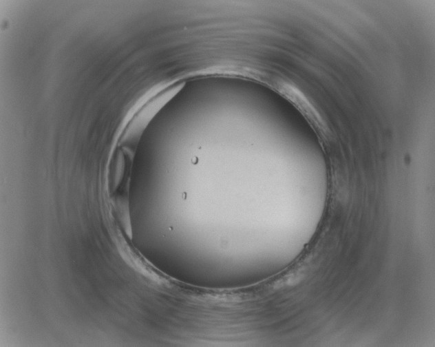 X0000083990900200703021936