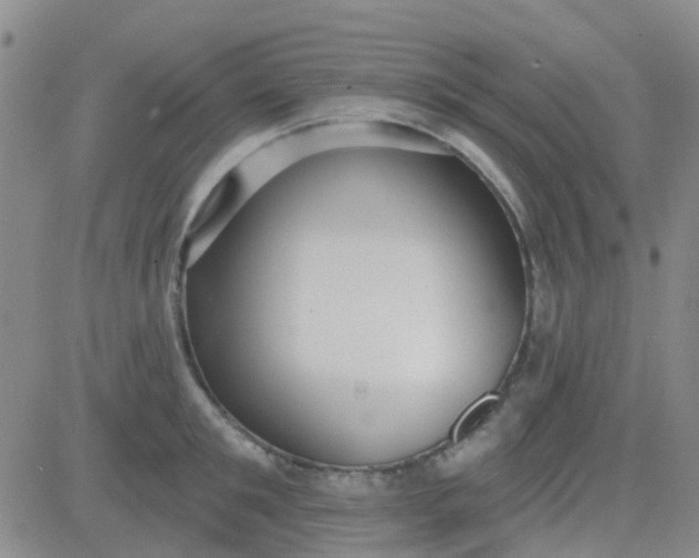 X0000083990901200703021936