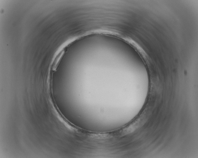 X0000083990902200703021936