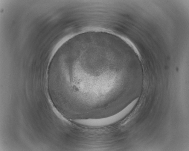 X0000083990903200703021936