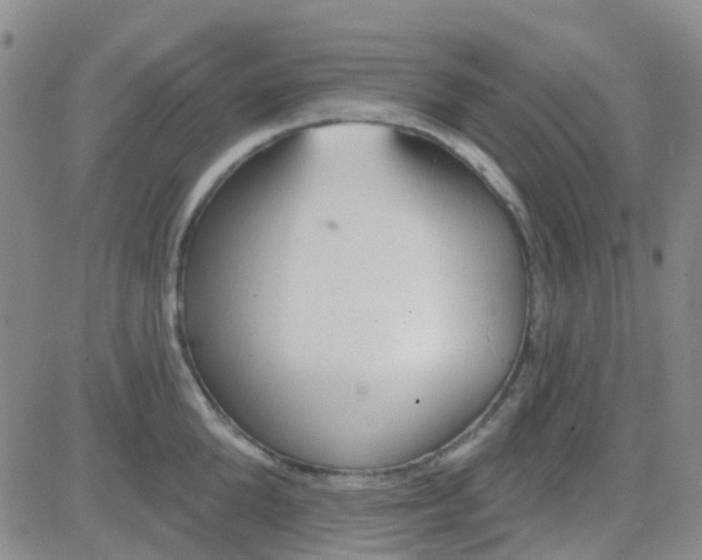 X0000083990904200703021936