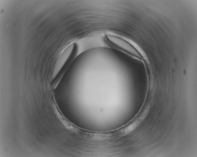 X0000083990905200703021936