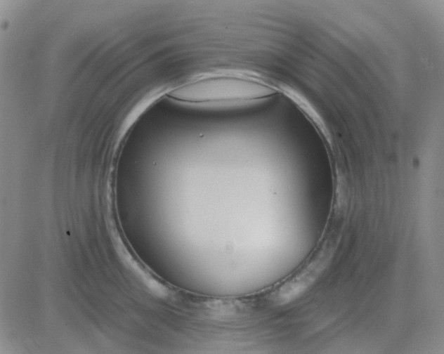 X0000083990906200703021936