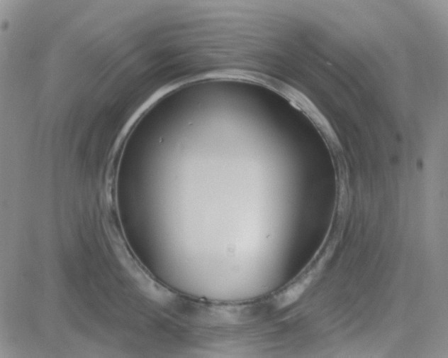 X0000083990908200703021936